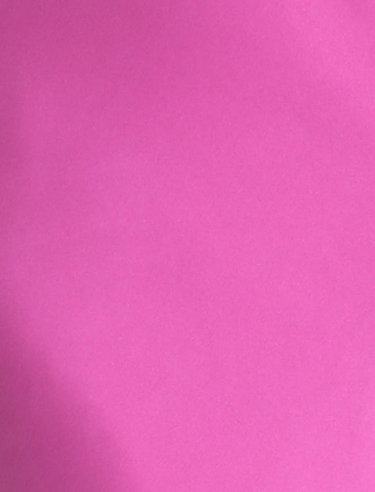 Papinelle  Pure Silk Lace Slip Nightie in Fuchsia – Papinelle Sleepwear US